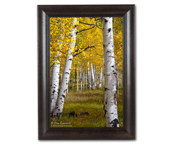 12x18 Framed Canvas Print – US Scenics